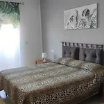 Oasi