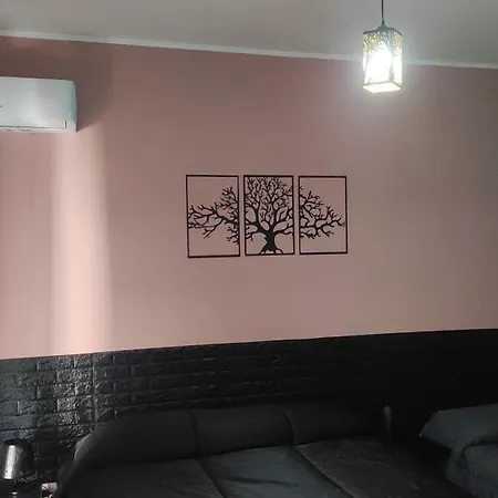 Oasi *